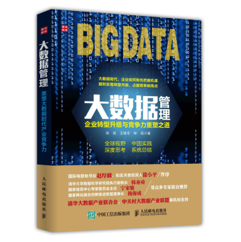大数据管理：企业转型升级与竞争力重塑之道 下载