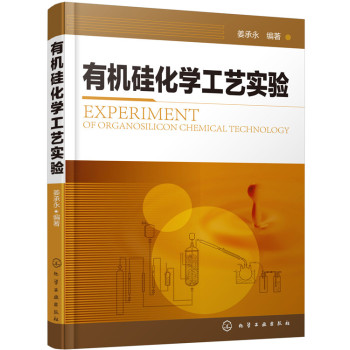 有机硅化学工艺实验 下载