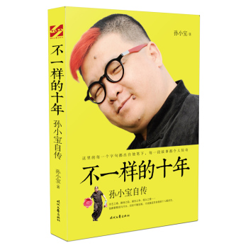 不一样的十年：孙小宝自传 下载