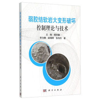 弱胶结软岩大变形破坏控制理论与技术 下载