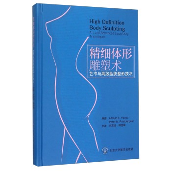 精细体形雕塑术 艺术与高级脂肪整形技术 下载