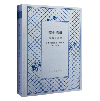 镜中瑕疵 下载