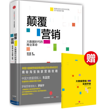 颠覆营销 下载
