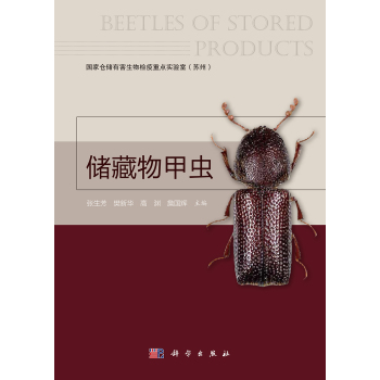 储藏物甲虫 下载