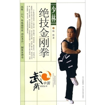 少林绝技金刚拳 下载