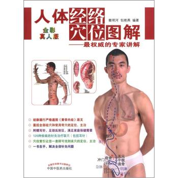 人体经络穴位图解 下载