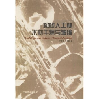 桉树人工林木材干燥与皱缩 下载