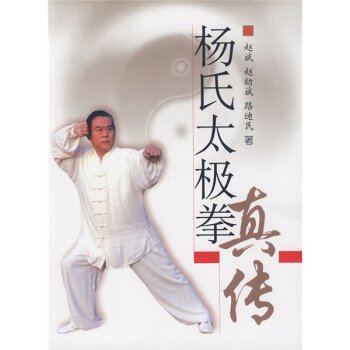杨氏太极拳真传   下载