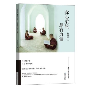 你心柔软，却有力量：林清玄最新散文精选   下载