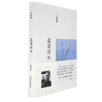 汪曾祺集：菰蒲深处   下载