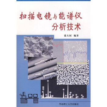 扫描电镜与能谱仪分析技术   下载