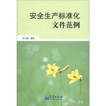 安全生产标准化文件范例   下载