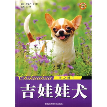 天之骄子：吉娃娃犬   下载