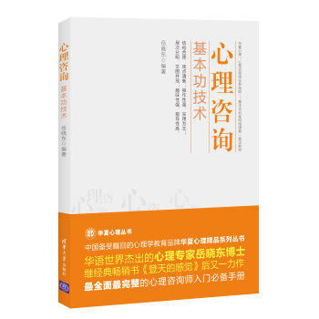 心理咨询 基本功技术   下载