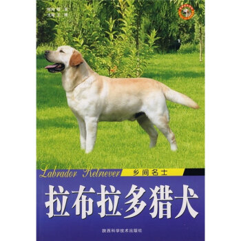 乡间名士：拉布拉多猎犬   下载