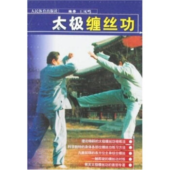 太极缠丝功   下载