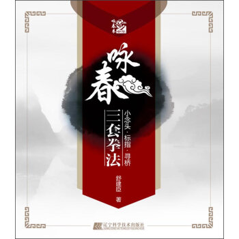 咏春三套拳法   下载