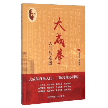 大成拳入门与实战   下载