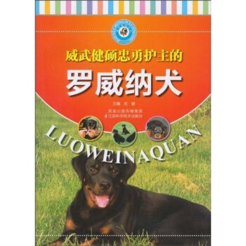 威武健硕忠勇护主的罗威纳犬   下载