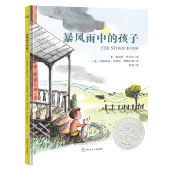 美国凯迪克银奖作品：暴风雨中的孩子  下载