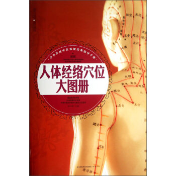 人体经络穴位大图册   下载