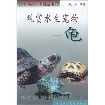 观赏水生宠物：龟   下载