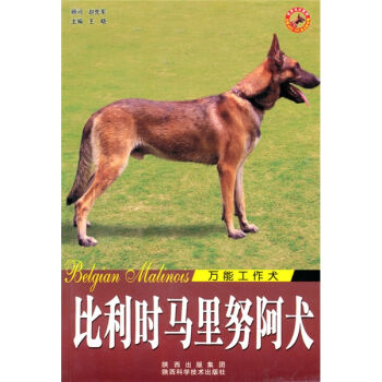 比利时马里努阿犬   下载