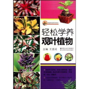 轻松学养观叶植物   下载
