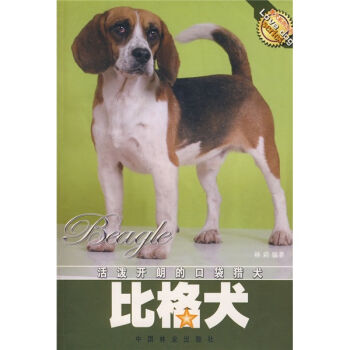活泼开朗的口袋猎犬：比格犬   下载