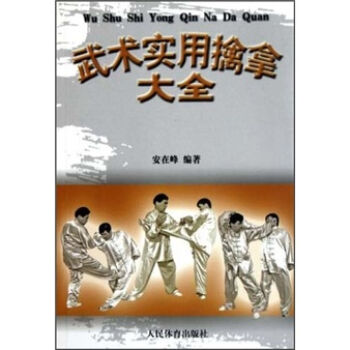 武术实用擒拿大全   下载