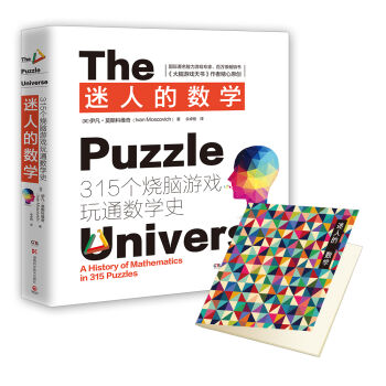 迷人的数学：315个烧脑游戏玩通数学史   下载