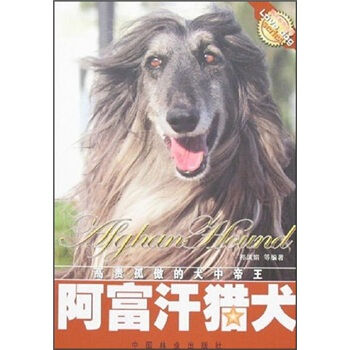阿富汗猎犬   下载