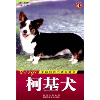 世界名犬：柯基犬   下载