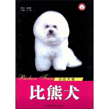 白色天使：比熊犬   下载