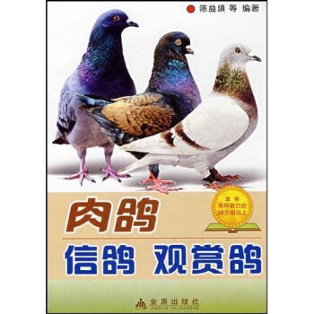 肉鸽信鸽观赏鸽   下载