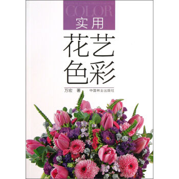 实用花艺色彩   下载
