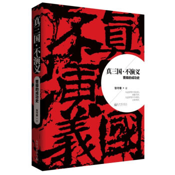 真三国·不演义   下载