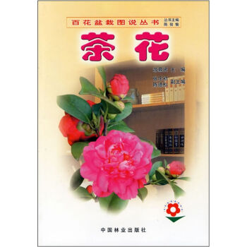 茶花   下载