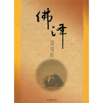 佛泽：影像中国佛学文化   下载