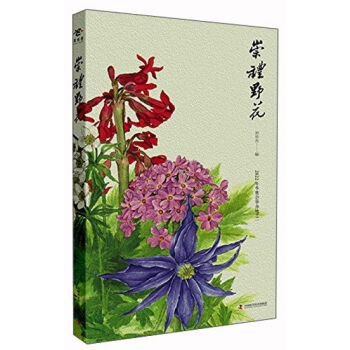 崇礼野花   下载