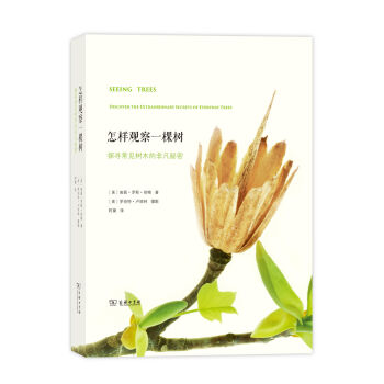 怎样观察一棵树   下载