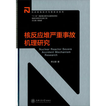 核反应堆严重事故机理研究   下载