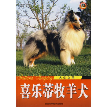 犬中女王：喜乐蒂牧羊犬   下载