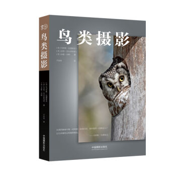 鸟类摄影   下载