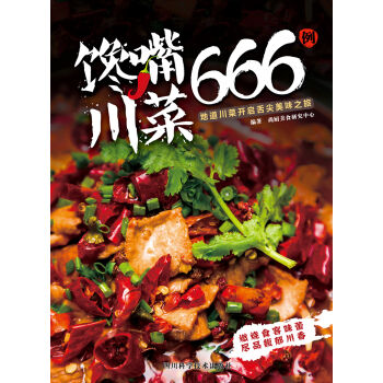馋嘴川菜666例   下载
