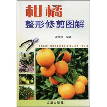 柑橘整形修剪图解   下载
