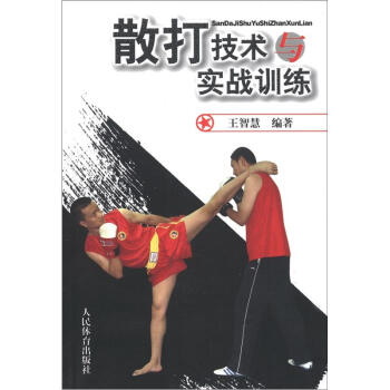 散打技术与实战训练   下载