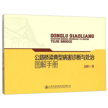 公路桥梁典型病害诊断与处治图解手册   下载