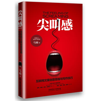 尖叫感：互联网文案创意思维与写作技巧   下载