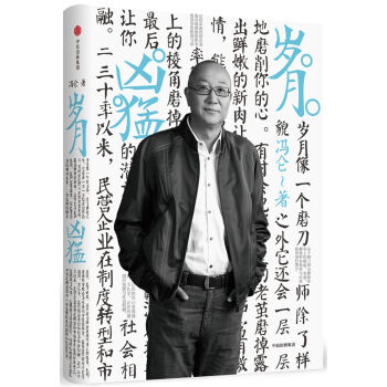 冯仑商业三部曲 岁月凶猛   下载